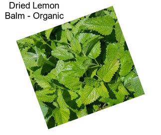 Dried Lemon Balm - Organic