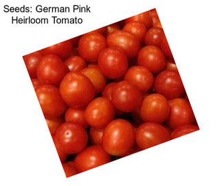 Seeds: German Pink Heirloom Tomato