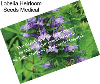 Lobelia Heirloom Seeds Medical