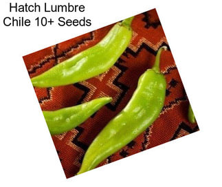 Hatch Lumbre Chile 10+ Seeds