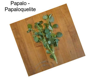 Papalo - Papaloquelite