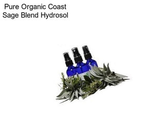 Pure Organic Coast Sage Blend Hydrosol