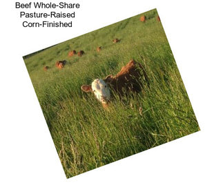 Beef Whole-Share Pasture-Raised Corn-Finished