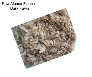 Raw Alpaca Fleece - Dark Fawn