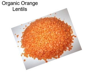 Organic Orange Lentils