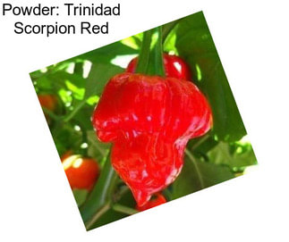 Powder: Trinidad Scorpion Red