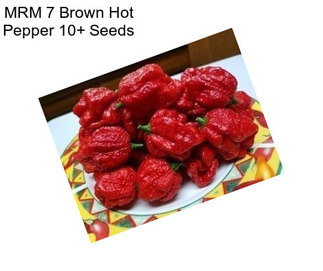 MRM 7 Brown Hot Pepper 10+ Seeds