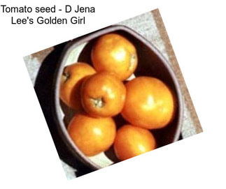 Tomato seed - D Jena Lee\'s Golden Girl