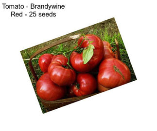 Tomato - Brandywine Red - 25 seeds