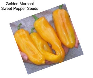 Golden Marconi Sweet Pepper Seeds