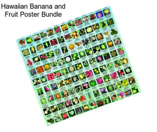 Hawaiian Banana and Fruit Poster Bundle