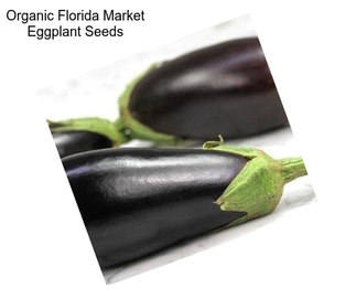 Organic Florida Market Eggplant Seeds