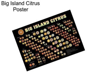 Big Island Citrus Poster