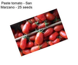 Paste tomato - San Marzano - 25 seeds