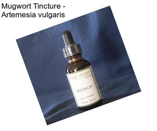 Mugwort Tincture - Artemesia vulgaris