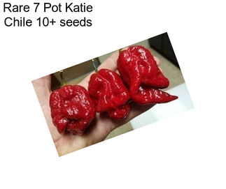 Rare 7 Pot Katie Chile 10+ seeds