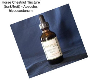 Horse Chestnut Tincture (bark/fruit) - Aesculus hippocastanum