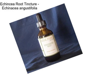 Echincea Root Tincture - Echinacea angustifolia