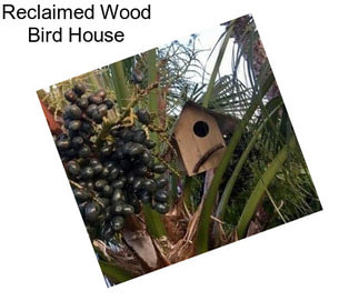 Reclaimed Wood Bird House