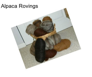 Alpaca Rovings