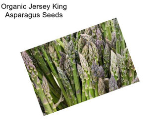 Organic Jersey King Asparagus Seeds