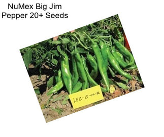 NuMex Big Jim Pepper 20+ Seeds