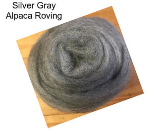 Silver Gray Alpaca Roving