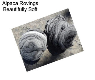 Alpaca Rovings Beautifully Soft