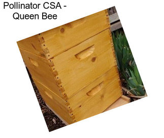 Pollinator CSA - Queen Bee