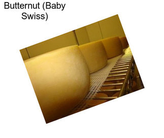 Butternut (Baby Swiss)