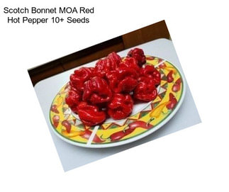 Scotch Bonnet MOA Red Hot Pepper 10+ Seeds