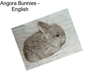 Angora Bunnies - English