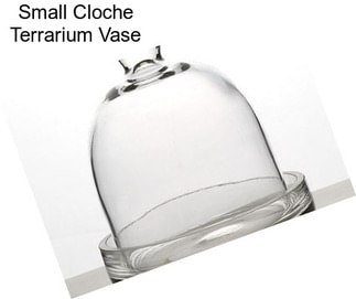 Small Cloche Terrarium Vase