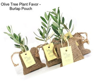 Olive Tree Plant Favor - Burlap Pouch