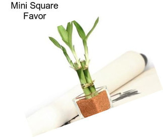 Mini Square Favor