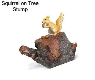 Squirrel on Tree Stump