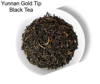 Yunnan Gold Tip Black Tea