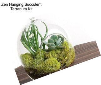 Zen Hanging Succulent Terrarium Kit