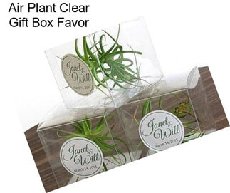 Air Plant Clear Gift Box Favor