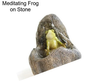 Meditating Frog on Stone