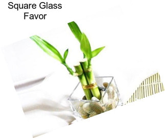 Square Glass Favor