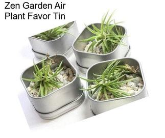 Zen Garden Air Plant Favor Tin