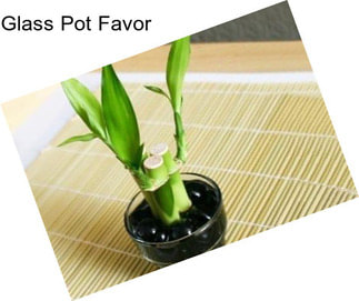 Glass Pot Favor