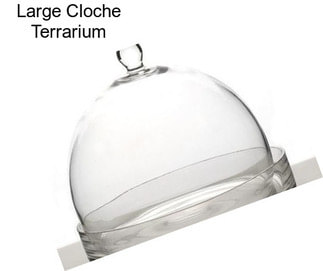 Large Cloche Terrarium