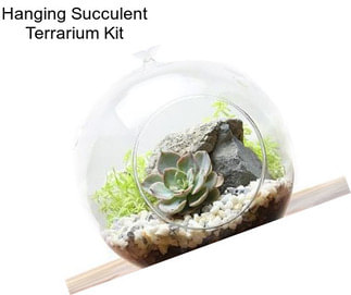 Hanging Succulent Terrarium Kit
