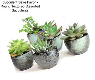 Succulent Sake Favor - Round Textured, Assorted Succulents