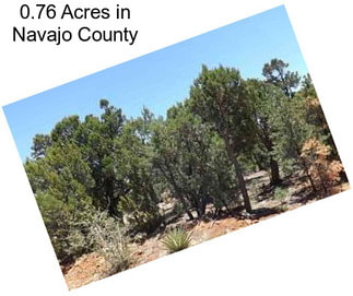 0.76 Acres in Navajo County