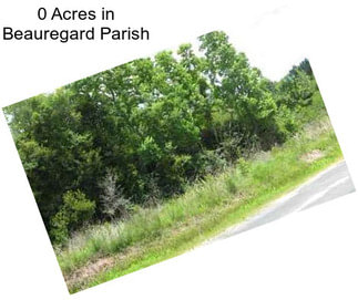 0 Acres in Beauregard Parish