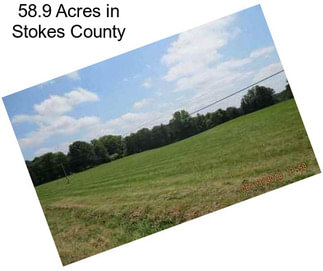 58.9 Acres in Stokes County