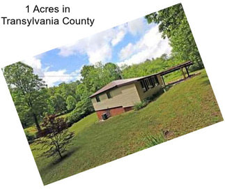 1 Acres in Transylvania County